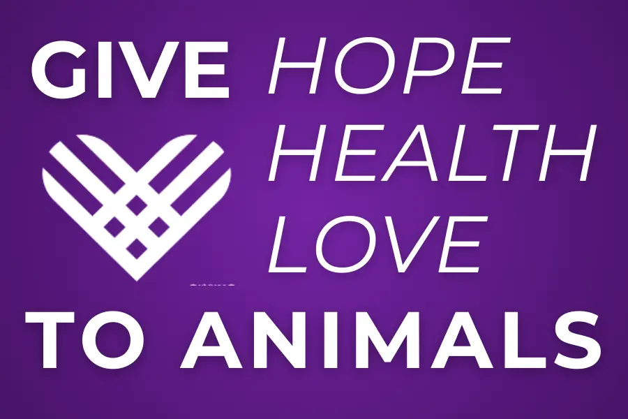 'Give Hope, Health, Love, to Animals' on a purple background, with a 'giving tuesday' logo heart.